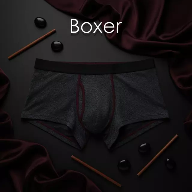 Boxer