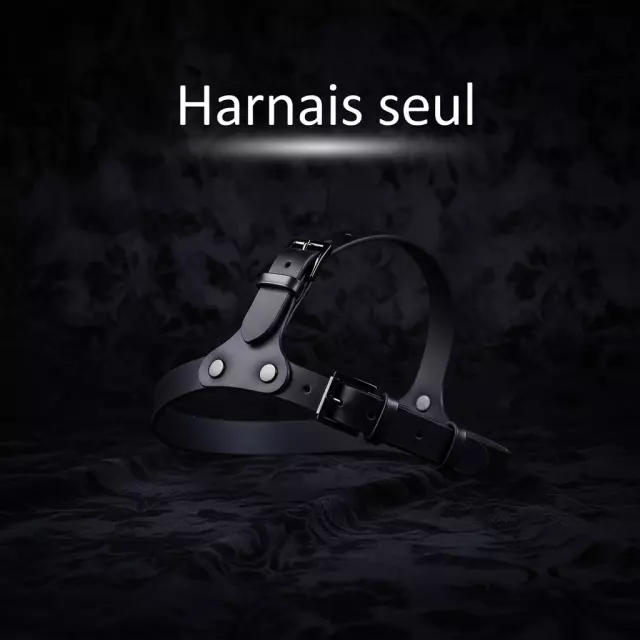 Harnais seul