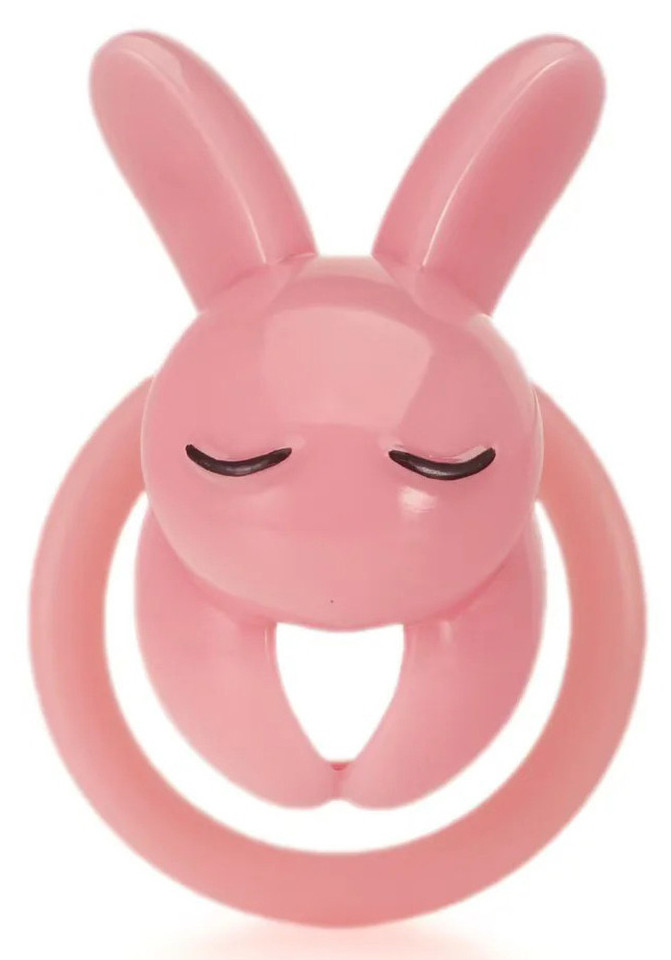 Cage Lapin 4.5 x 3 cm Rose
