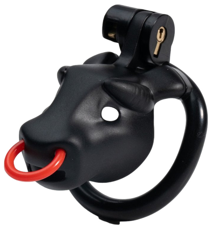 Cage Minodick 6 x 3 cm Noire