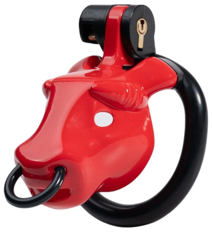 Cage Minodick 6 x 3 cm Rouge