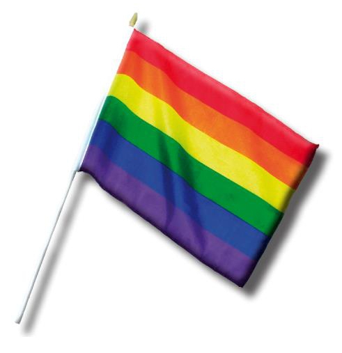 Mini Drapeau Rainbow 20 x 30cm